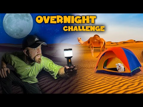 ვათენებ მთელ ღამეს არაბეთის უდაბნოში | 12 HOURS CHALLENGE